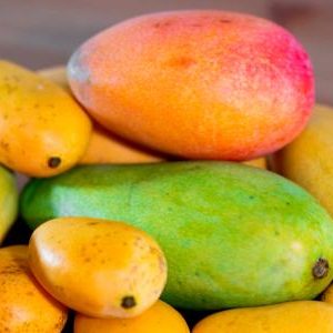 أنواع المانجا