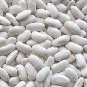 فاصوليا بيضاء