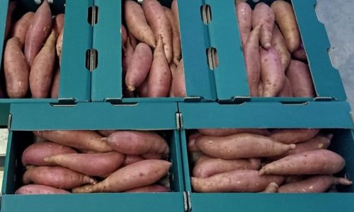 بطاطا حلوة-min