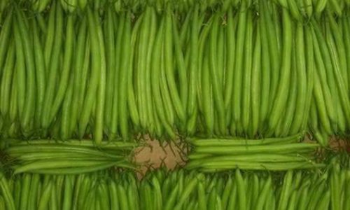 فاصوليا خضراء-min