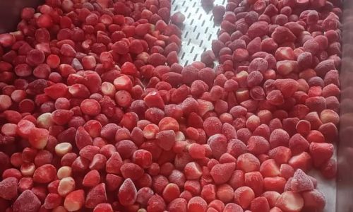 Frozen strawberry Factory-min