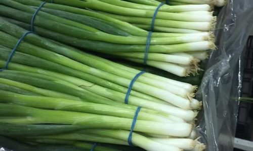 Green Onion-min