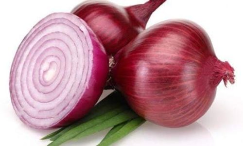 Onion(1)-min