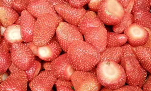 WhatsApp Image 2023-01-06 at 5.50.31 PM (1)(1)-min