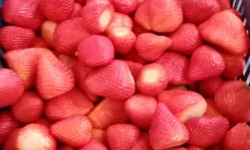 WhatsApp Image 2023-01-06 at 5.50.31 PM-min