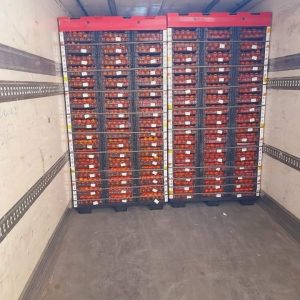 WhatsApp-Image-2023-01-13-at-6.21.05-PM