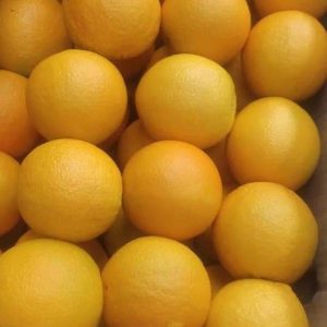 WhatsApp-Image-2023-01-13-at-6.21.14-PM-1