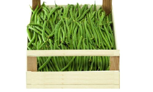 beans_green_box-min
