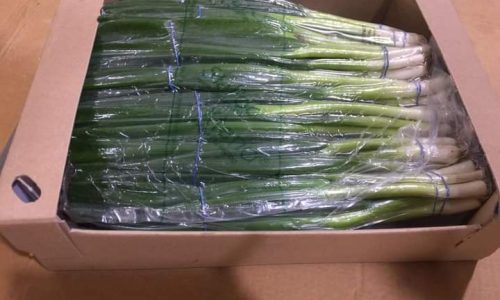 box of green onion-min