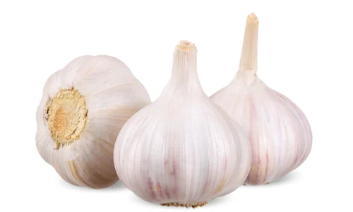 fresh-garlics_26628-476