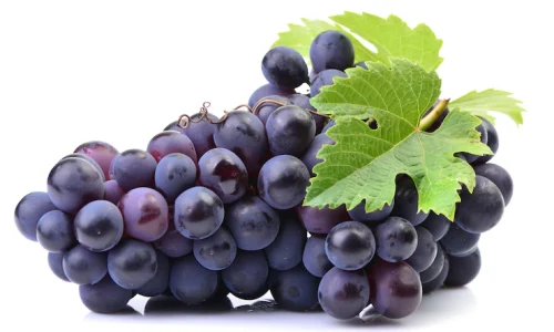 grapes-white_181303-517