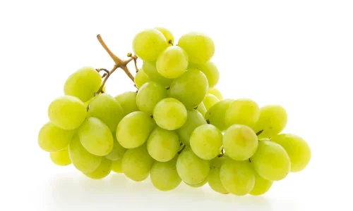 العنب المصري