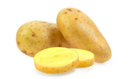 potato-isolated-white-background_55883-11038-min