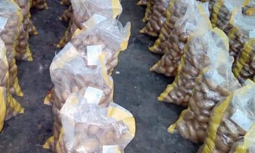 potatoes in egypt-min