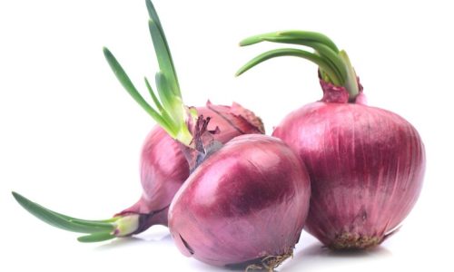 red-onion-white-background_181303-1262